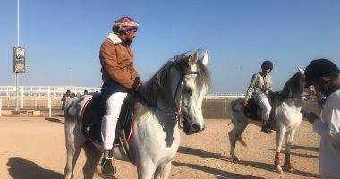 لأول مرة سباقات الخيل تصل شرم الشيح بعروض مبهرة.. لايف