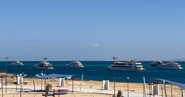 بث مباشر.. "الربيع بدأ فى البحر الأحمر" طقس مشمس وسماء صافية