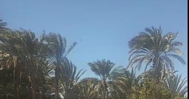 طقس قنا الآن.. أجواء باردة وتقلبات جوية على جميع الأنحاء (فيديو)