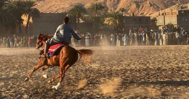 اليوم.. الليلة الختامية لمولد الشيخ أبو القمصان بمدينة القرنة غرب الأقصر