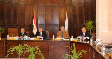 جامعة الإسكندرية: التواصل الحضارى مع شعوب أفريقيا جزء من قوة مصر الناعمة