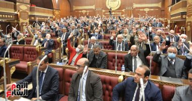 اليوم.. مجلس الشيوخ يناقش تقرير 3 لجان عن قانون صندوق ذوى الإعاقة
