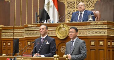 بدء جلسة "الشيوخ" لمناقشة تعديل قانون العمل الأهلى لتوفيق أوضاع الجمعيات