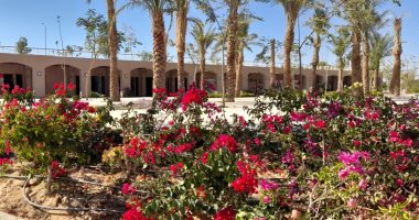 ممشى أسوان الجديدة إطلالة ساحرة على النيل.."المجتمعات العمرانية" تحول الصحراء إلى مقصد سياحى.. الكورنيش الجديد يضم منطقة فيلات ومسرحا مكشوفا وكافيهات..وجهاز المدينة: حجم الاستثمارات يقدر بمليار جنيه..صور وفيديو