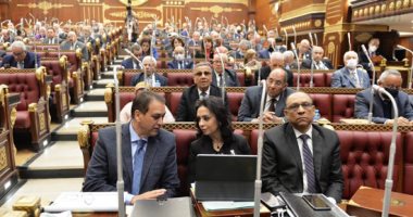 تفاصيل طلب مناقشة أمام مجلس الشيوخ حول التبرعات النقدية لمؤسسات العمل الأهلى