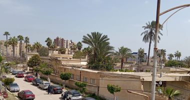 شمس ساطعة وسماء صافية ورياح خفيفة.. تعرف على حالة الطقس بكفر الشيخ.. فيديو
