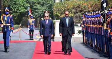 الرئاسة: الرئيس السيسى يستقبل رئيس مجلس السيادة الانتقالى السودانى  