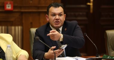 "محلية النواب" تستجيب لـ" التنسيقية" وتستدعى محافظ مطروح