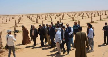محافظ الوادي الجديد يتفقد مشروع وقف النخيل بالفرافرة بمساحة ألف فدان.. صور