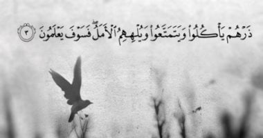 جمال القرآن.. "ويلههم الأمل" بلاغة وصف اللهو عن الإيمان