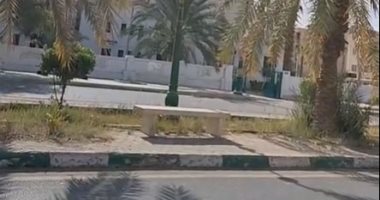 ارتفاع الحرارة وسطوع الشمس صباح رابع أيام رمضان بالوادى الجديد.. بث مباشر