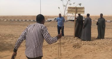 وقف حالة تعدٍ على أرض أملاك دولة بمساحة 324 فدانا بالأقصر.. صور