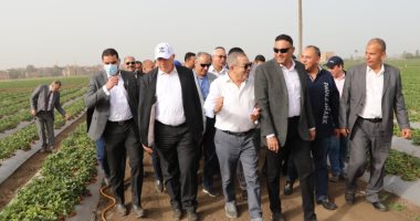 وزير الزراعة يتفقد حقول بطاطس وفراولة تستخدم أساليب الرى الحديث بالدقهلية.. صور