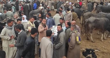 قوافل إرشادية وتوعوية بأسواق الماشية فى كفر الشيخ.. صور