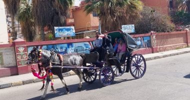 بالحنطور.. جولة سياحية لعدد من السياح الأجانب فى شوارع بورسعيد.. صور وفيديو