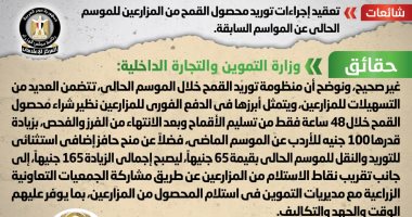 الحكومة تنفى تعقيد إجراءات توريد القمح بالموسم الحالى عن المواسم السابقة