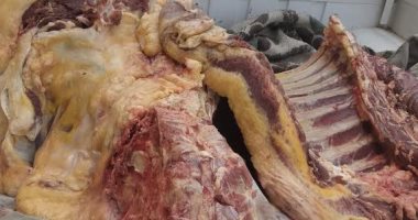 ضبط 226 كيلو لحوم مذبوحة خارج المجازر بمركز ديرمواس بالمنيا