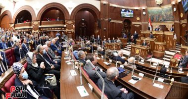 مجلس الشيوخ: هيئة الرقابة المالية المختصة بترخيص شركات التأمين وفقا للقانون