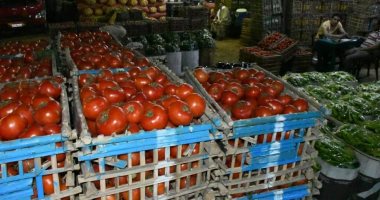 كيف واجهت الفيوم ارتفاع أسعار الخضر والفاكهة؟.. المحافظ اجتمع مع ممثلى التجار لبحث آليات السيطرة على الأسعار والمشاركة بمنافذ بيع السلع.. وضخ كميات كبيرة بشادر الفيوم بأسعار تنافسية.. صور