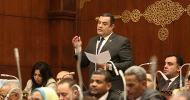 مجلس الشيوخ يستجيب لنائب التنسيقية بشأن تعديل قانون التأمين الموحد