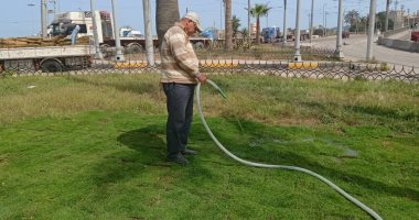 محافظ الإسكندرية يكلف رؤساء الأحياء برفع كفاءة الحدائق العامة والمسطحات الخضراء