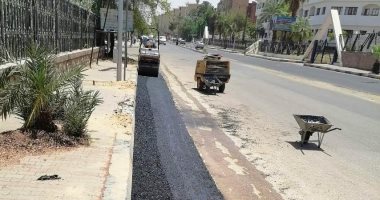 بدء رصف شوارع وسط مدينة أسوان بأطوال 1.5 كم بتكلفة 5.5 مليون جنيه