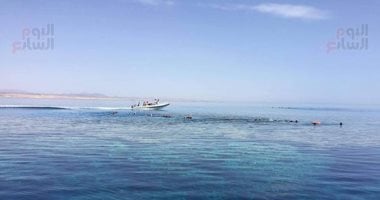 لمحبى رياضة الغوص.. تعرف على أشهر وأجمل المواقع البحرية بمرسى علم
