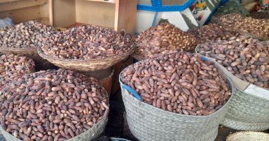 البلح الأسوانى يغزو الأسواق المحلية والعالمية فى رمضان.. أكبر تاجر تمور بالمحافظة يوضح أهم الأصناف وأفضل الطرق لحماية البلح من السوسة.. ويؤكد: الأسعار تبدأ من 8 جنيهات للكيلو.. صور