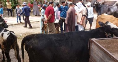 الكشف على 2786 رأس ماشية ودواجن بقافلة بيطرية مجانية ضمن حياة كريمة بالبحيرة