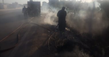 يحظر إلقاؤها فى المجارى المائية..ضوابط إعادة استخدام وإدارة المخلفات الزراعية