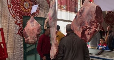  محافظ الدقهلية يحيل 34 محضر مخالفات تموينية بالمخابز والأسواق إلى النيابة
