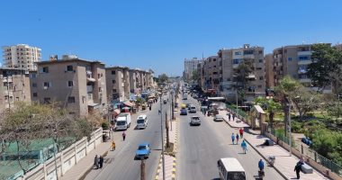 إنهاء رصف عدد من الشوارع بكفر الشيخ ودسوق واستكمال الإنترلوك.. صور