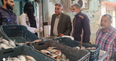 ضبط لحوم مجهولة المصدر بحوزة مالك ثلاجة لحفظ السلع الغذائية فى الجيزة