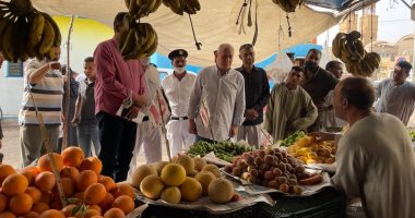 محافظ الأقصر يتفقد الأسواق لمتابعة توافر الخضروات واللحوم.. صور