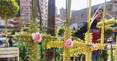 فرشوا القمصان وقطعوا الأغصان.. احتفالات أحد الزعف بالإسكندرية.. لايف