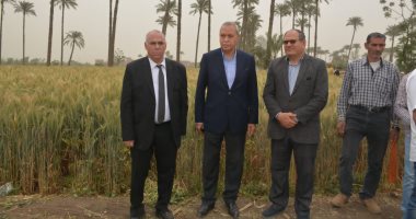 الزراعة تنظم يوما حقليا لتوعية المزارعين وحثهم على توريد القمح بالقليوبية