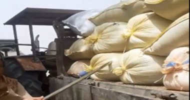 محافظ أسيوط: توريد 5432 طن قمح بالشون والصوامع منذ بدء الموسم