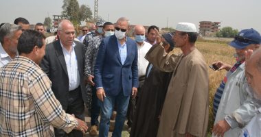 محافظ القليوبية: حصاد 30 فدانا من إجمالى 50 ألف فدان قمح على مستوى المحافظة.. فيديو
