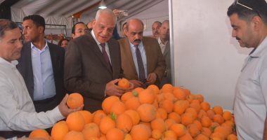 محافظ الجيزة: نسعى لإقامة أكبر عدد من منافذ السلع الغذائية بأسعار مناسبة
