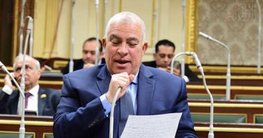 نائب بالجلسة العامة: يجب تعظيم الاستفادة من القروض بالمشروعات ذات النفع العام