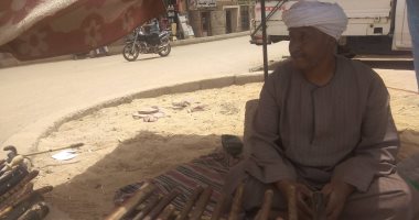 "المحلب والجدر" كانت للفتوات ودلوقتى سلاح الفلاح.. تعرف على قصص الشوم.. لايف