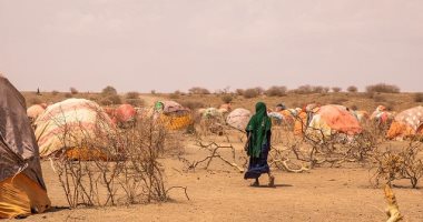 الأغذية العالمى يحذر من ارتفاع عدد الجياع لـ20 مليونا بسبب الجفاف بالقرن الأفريقى