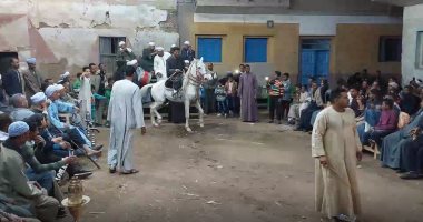 أجواء المتعة بأمسية مميزة ورقص بالخيول العربية الأصيلة فى الأقصر.. فيديو