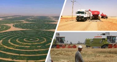 توشكى الخير.. مصر تطلق موسم حصاد الذهب الأصفر من الجنوب.. الشون والصوامع تتسلم 7500 طنا.. ومحافظ أسوان يشدد على مسئولى الزراعة والتموين والمطاحن بضرورة تسهيل كافة الإجراءات 