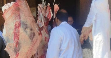 الطب البيطرى يضبط لحوما وأسماكا ودواجن غير صالحة بأسوان‎‎.. صور