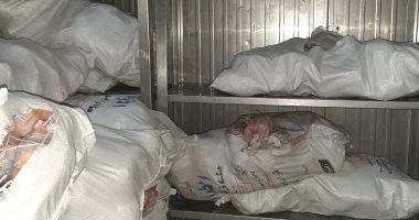 بيطرى الأقصر تضبط كمية من الدواجن المجمدة غير صالحة للاستهلاك.. صور