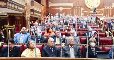 أبو شقة: العقوبات بقانون العمل الأهلى هزيلة ولا تحقق الردع..صور