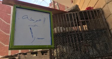 الفرخة بـ 1 جنيه.. متبرعون يوفرونها للأهالى بالعريش بسعر رمزى