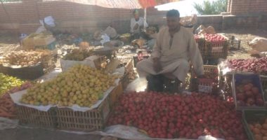 الطماطم والخيار بـ10 جنيهات والبطاطس بـ5.. جولة فى أسواق قنا