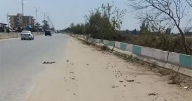 ماتوا الفجر وهما صائمين.. تفاصيل مصرع شابين فى تصادم موتوسيكل وسيارة بالشرقية